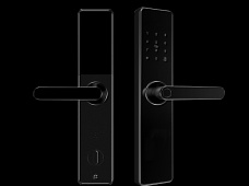 青松沃德-Wi-Fi 指紋鎖家用防盜門智能門鎖密碼鎖刷卡電子鎖 防磁干擾 防撬 L9-WT (不含鎖體，鎖體需另購）